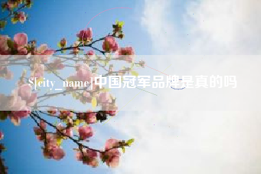枣阳中国冠军品牌是真的吗