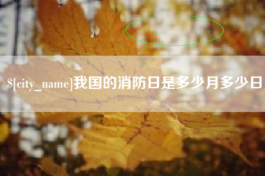 枣阳我国的消防日是多少月多少日