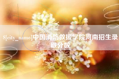 枣阳中国消防救援学院河南招生录取分数