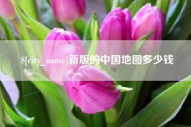 枣阳新版的中国地图多少钱