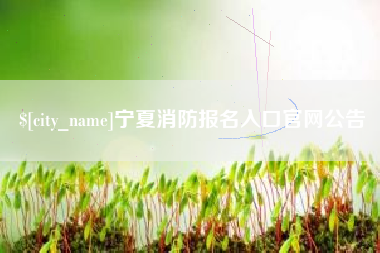 枣阳宁夏消防报名入口官网公告