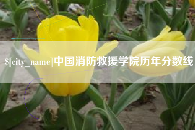 枣阳中国消防救援学院历年分数线