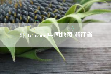 枣阳中国地图 浙江省