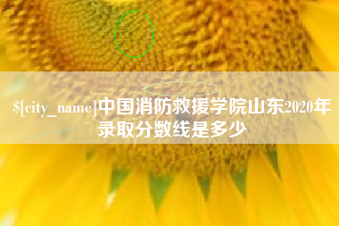 枣阳中国消防救援学院山东2020年录取分数线是多少