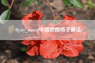 枣阳中国地图格子画法