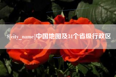 枣阳中国地图及34个省级行政区