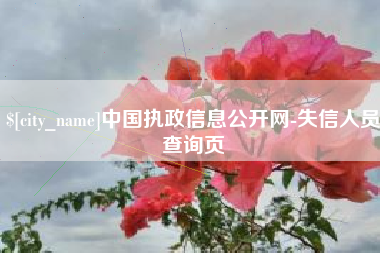 枣阳中国执政信息公开网-失信人员查询页