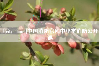 枣阳中国消防官网中小学消防公开课