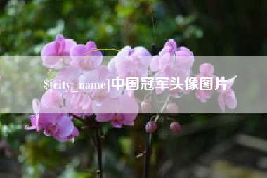 枣阳中国冠军头像图片