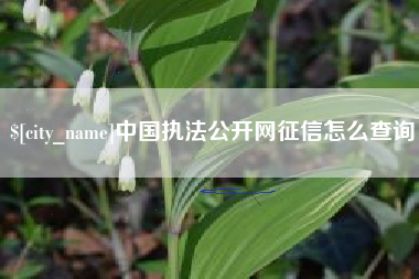 枣阳中国执法公开网征信怎么查询
