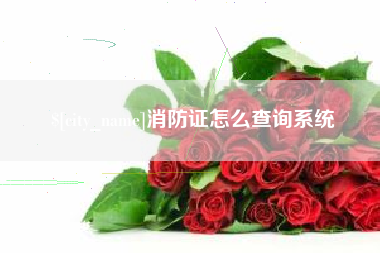 枣阳消防证怎么查询系统