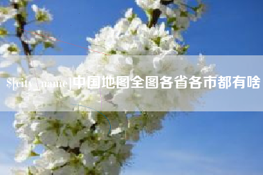 枣阳中国地图全图各省各市都有啥
