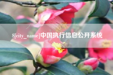 枣阳中国执行信息公开系统