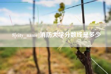 枣阳消防大学分数线是多少