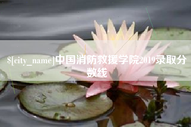 枣阳中国消防救援学院2019录取分数线