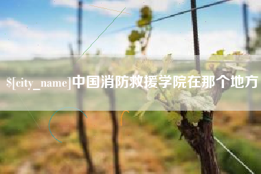 枣阳中国消防救援学院在那个地方