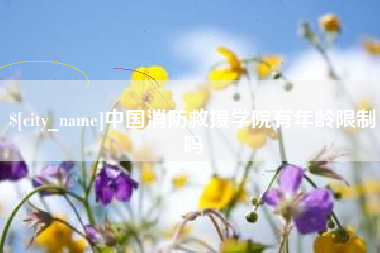 枣阳中国消防救援学院有年龄限制吗
