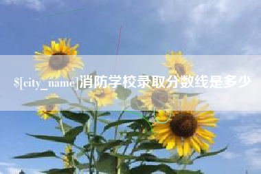 枣阳消防学校录取分数线是多少