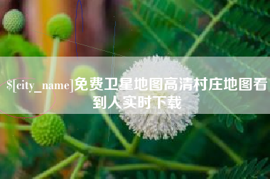 枣阳免费卫星地图高清村庄地图看到人实时下载