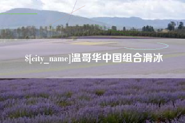 枣阳温哥华中国组合滑冰