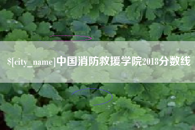 枣阳中国消防救援学院2018分数线