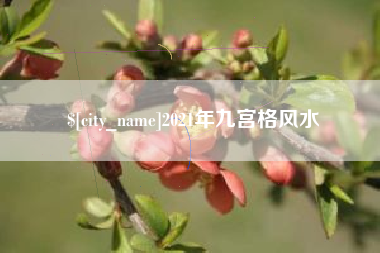 枣阳2021年九宫格风水