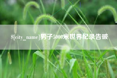 枣阳男子5000米世界纪录告破