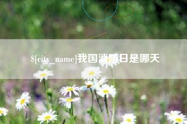 枣阳我国消防日是哪天
