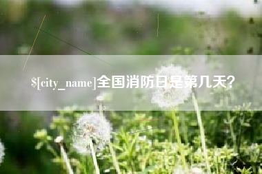 枣阳全国消防日是第几天？