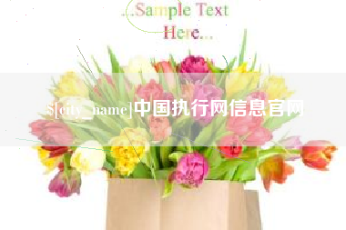 枣阳中国执行网信息官网