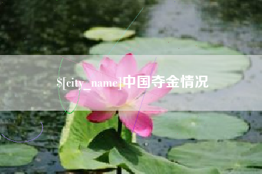 枣阳中国夺金情况