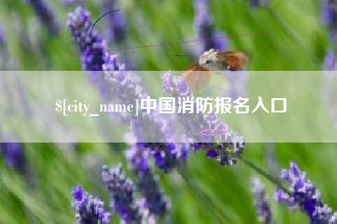 枣阳中国消防报名入口