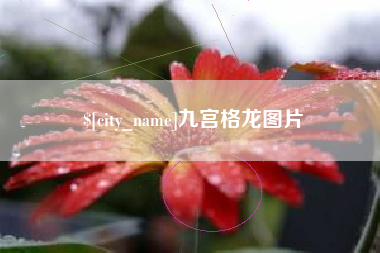 枣阳九宫格龙图片