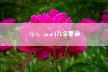 枣阳九金是谁