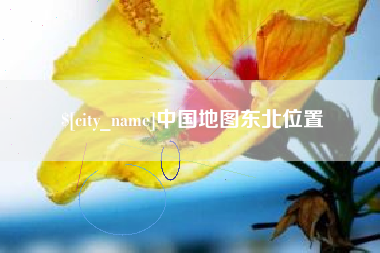 枣阳中国地图东北位置