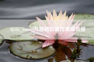 枣阳九宫格位置代表成员图