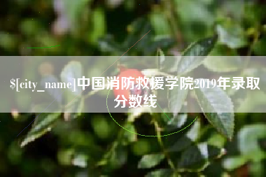 枣阳中国消防救援学院2019年录取分数线