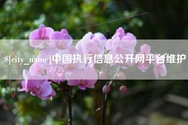 枣阳中国执行信息公开网平台维护