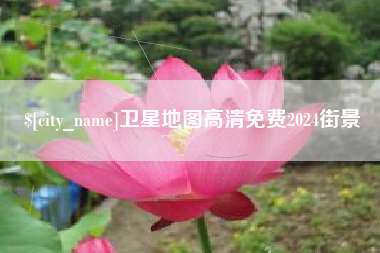 枣阳卫星地图高清免费2024街景