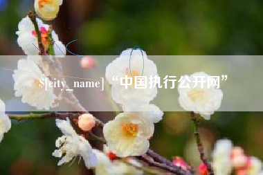 枣阳“中国执行公开网”