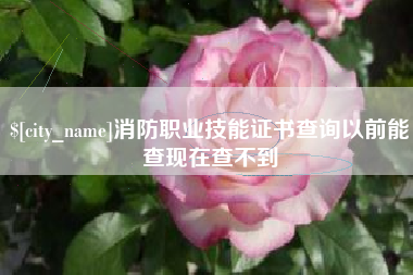 枣阳消防职业技能证书查询以前能查现在查不到