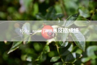 枣阳5000米及格成绩