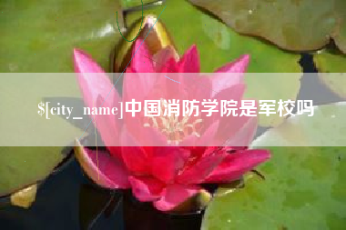 枣阳中国消防学院是军校吗