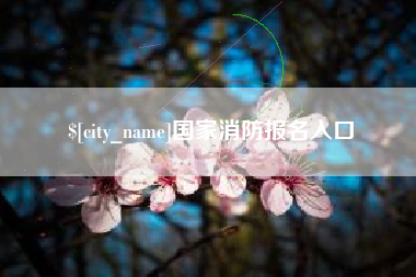 枣阳国家消防报名入口