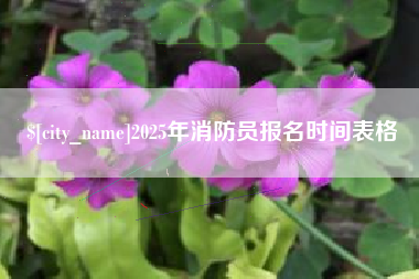 枣阳2025年消防员报名时间表格