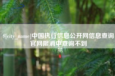枣阳中国执行信息公开网信息查询官网限消中查询不到