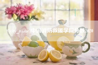 枣阳中国消防救援学院分数2020