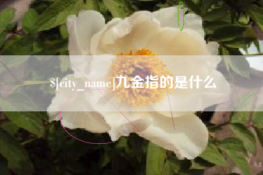 枣阳九金指的是什么