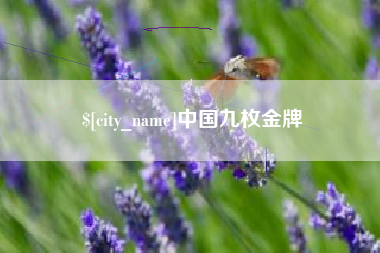 枣阳中国九枚金牌