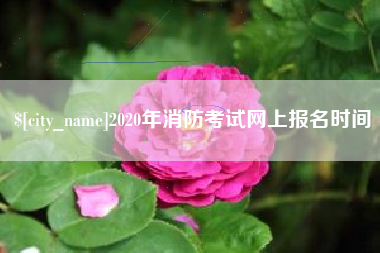 枣阳2020年消防考试网上报名时间